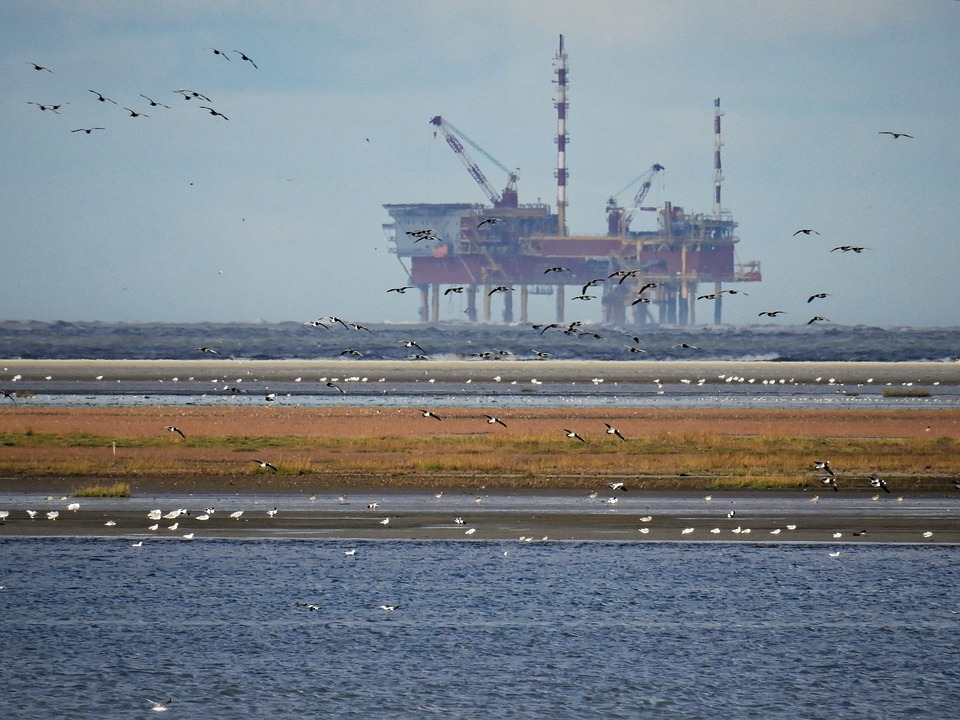 Birds flying near an oil rig