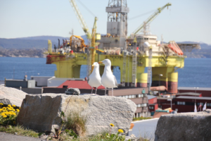 Crane birds with an oil rig in the background