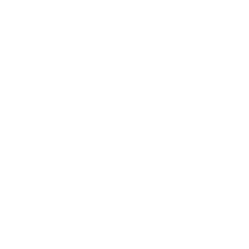 check security (1)